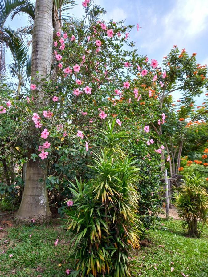 Pousada Recanto Alegre Campestre Exterior photo